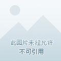 八荒兽典之穷奇传